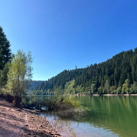 Апартаменты Nordschwarzwald *